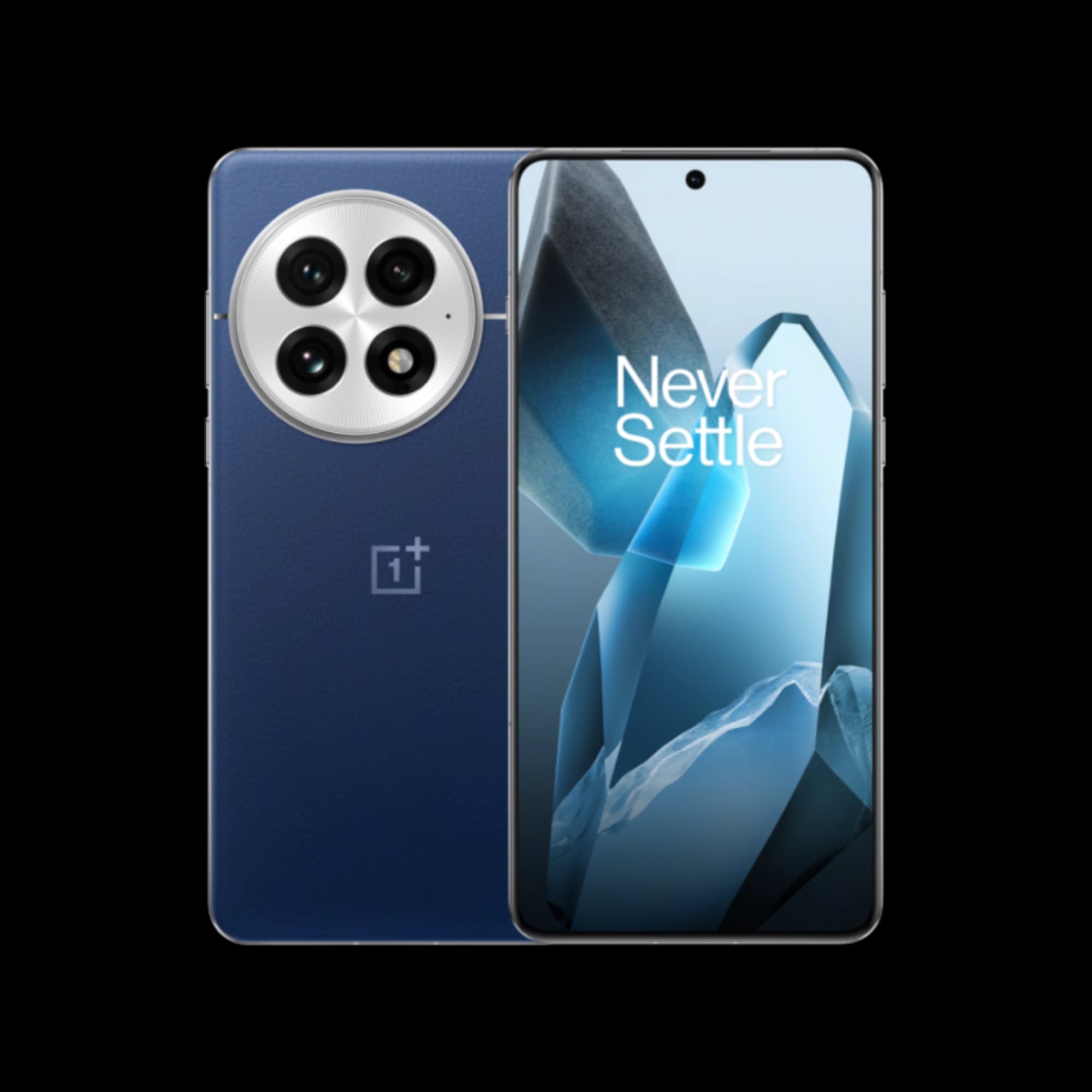 OnePlus 13